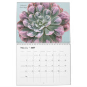 Calendrier Echeverias Succulent 12 mois (Feb 2027)