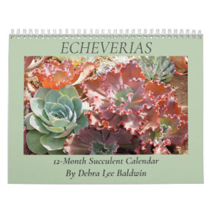 Calendrier Echeverias : Succulents par Debra Lee Baldwin