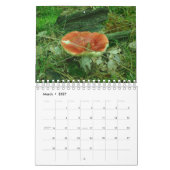 Calendrier Eclectique Gnomes Gnomes Angels Polonais 2024 Cale (Mar 2027)