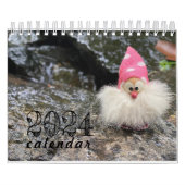 Calendrier Eclectique Gnomes Gnomes Angels Polonais 2024 Cale (Protection)