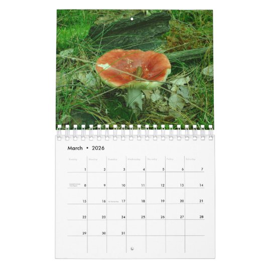 Calendrier Eclectique Gnomes Gnomes Angels Polonais 2024 Cale (Mar 2026)