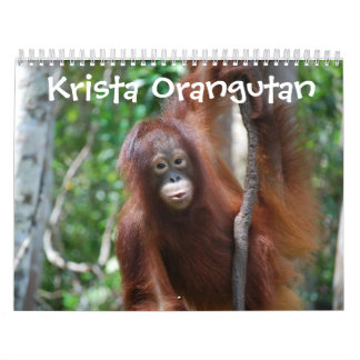 Calendrier École de jungle d'orang-outan de Krista