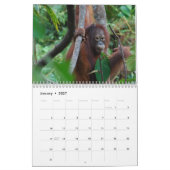 Calendrier École de jungle d'orang-outan de Krista (Jan 2027)