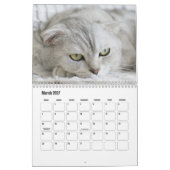 Calendrier écossais des chats pliés (Mar 2027)