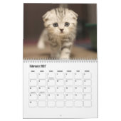 Calendrier écossais des chats pliés (Feb 2027)