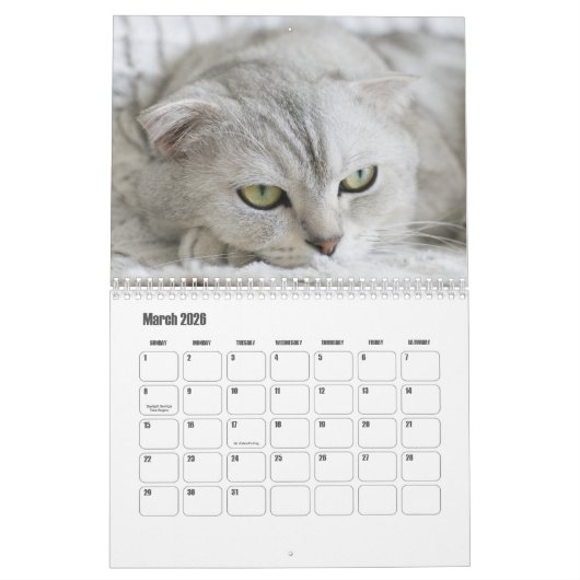 Calendrier écossais des chats pliés (Mar 2026)
