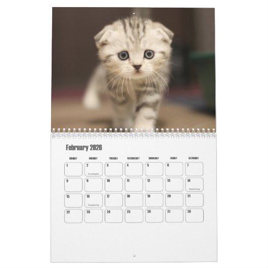 Calendrier écossais des chats pliés (Feb 2026)
