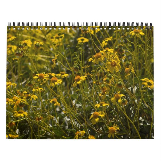 Calendrier Écriture fleur sauvage 2015 (Protection)