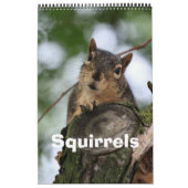 Calendrier Écureuil (Protection)