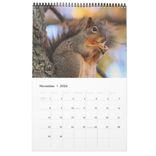 Calendrier Écureuil (Nov 2026)