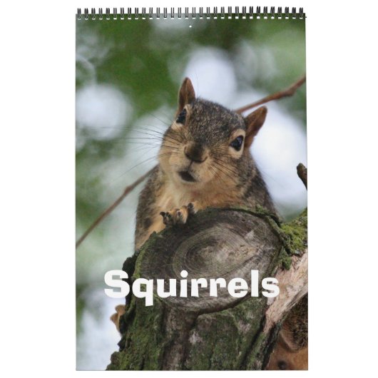 Calendrier Écureuil (Protection)