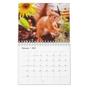 Calendrier Écureuil (Feb 2027)