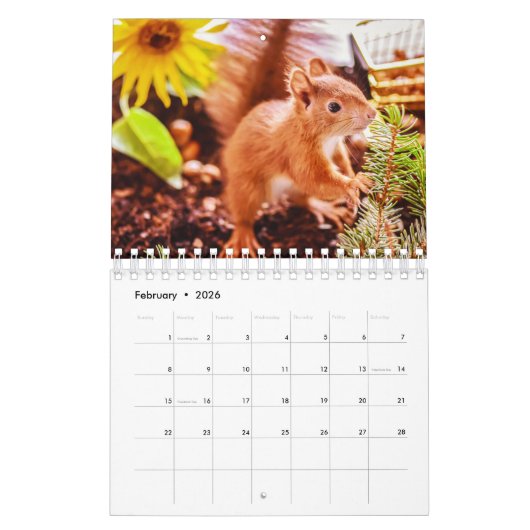 Calendrier Écureuil (Feb 2026)