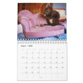 Calendrier Écureuil (Mar 2026)