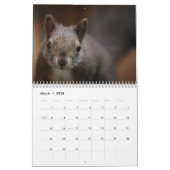 Calendrier Écureuil 2025 (Mar 2026)