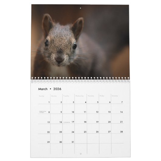 Calendrier Écureuil 2025 (Mar 2026)