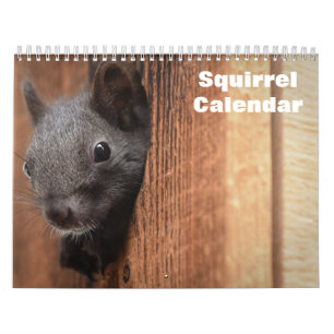 Calendrier Écureuil 2025