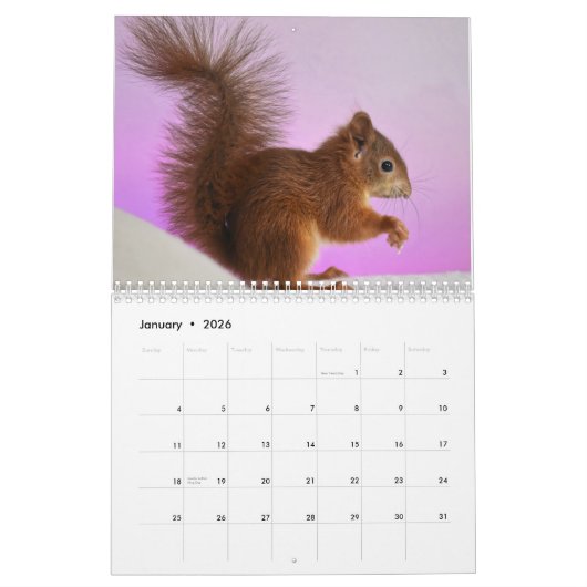 Calendrier Écureuil 2025 (Jan 2026)