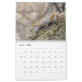 Calendrier Écureuil 2026 (Mar 2026)