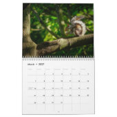 Calendrier Écureuil 2027 (Mar 2027)