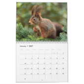 Calendrier Écureuil 2027 (Jan 2027)