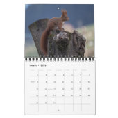 Calendrier écureuil pour amoureux des animaux ou c (Mar 2026)