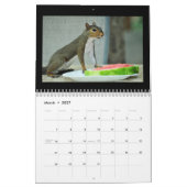 Calendrier Écureuils et leurs trésors (Mar 2027)
