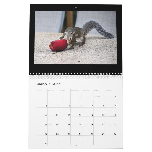 Calendrier Écureuils et leurs trésors (Jan 2027)