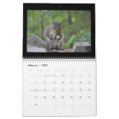 Calendrier Écureuils et leurs trésors (Feb 2027)