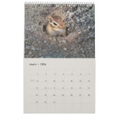 Calendrier Écureuils mignons et Chipmunks Drôle Photos d'anim (Mar 2026)