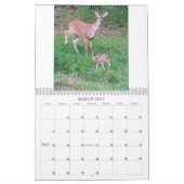 Calendrier Edwards, Missouri 2021 (Mar 2027)