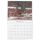 Calendrier Edwards, Missouri 2021 (Feb 2027)