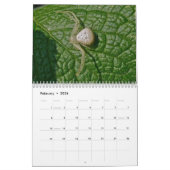 Calendrier - EEK ! Une araignée ! (Feb 2026)