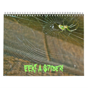 Calendrier - EEK ! Une araignée !
