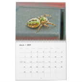 Calendrier - EEK ! Une araignée ! (Mar 2027)
