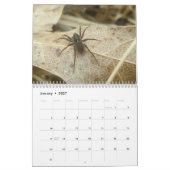 Calendrier - EEK ! Une araignée ! (Jan 2027)