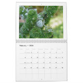 Calendrier - Eek ! Une araignée #3 (Feb 2026)