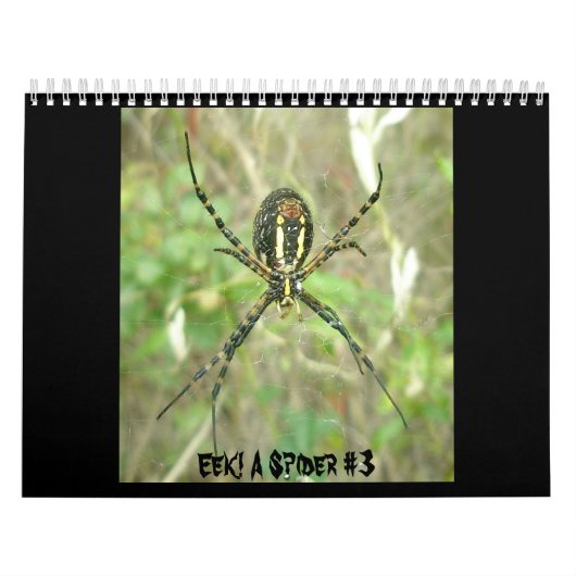 Calendrier - Eek ! Une araignée #3 (Protection)