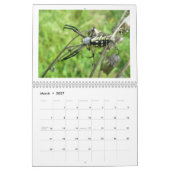Calendrier - Eek ! Une araignée #3 (Mar 2027)