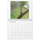 Calendrier - Eek ! Une araignée #3 (Jan 2027)