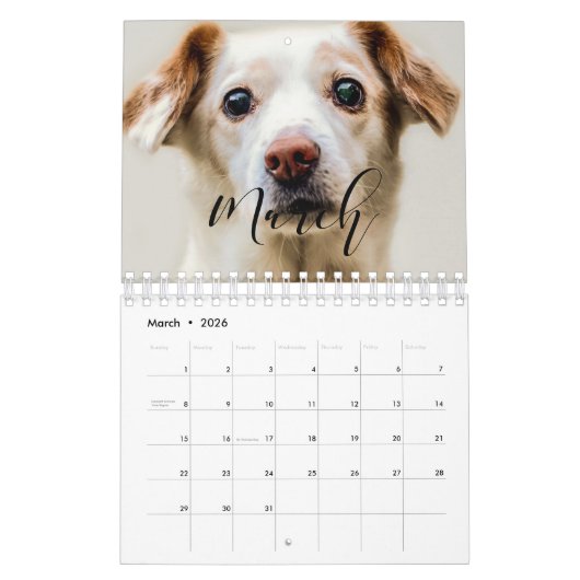 Calendrier Elegant 2023 family photo (Mar 2026)