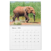 Calendrier éléphant (Feb 2026)