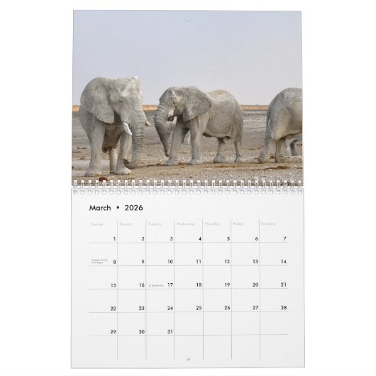 Calendrier Eléphant (Mar 2026)