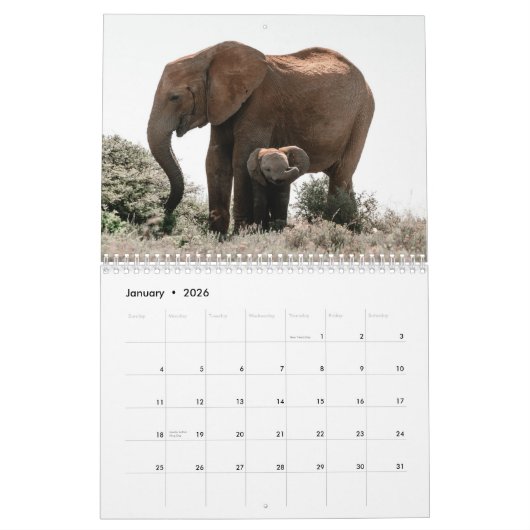 Calendrier Eléphant (Jan 2026)