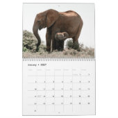 Calendrier Eléphant (Jan 2027)