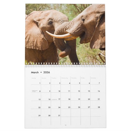 Calendrier éléphant (Mar 2026)