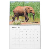 Calendrier éléphant (Feb 2027)