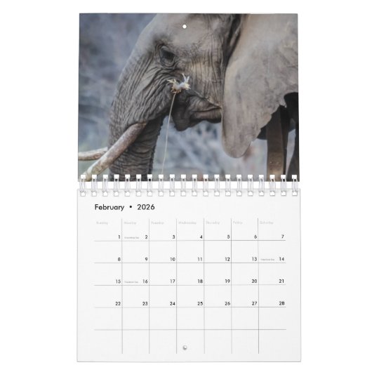 Calendrier Eléphant (Feb 2026)