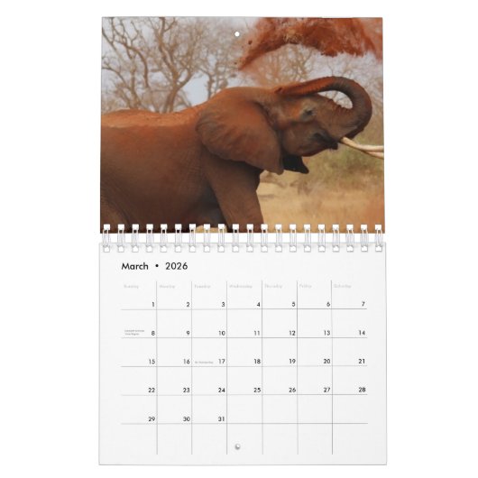 Calendrier Eléphant (Mar 2026)