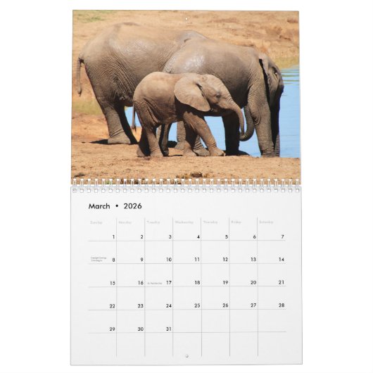 Calendrier Elephant 2025 (Mar 2026)